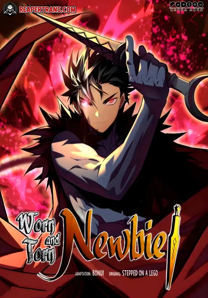 Worn and Torn Newbie Worn and Torn Newbie